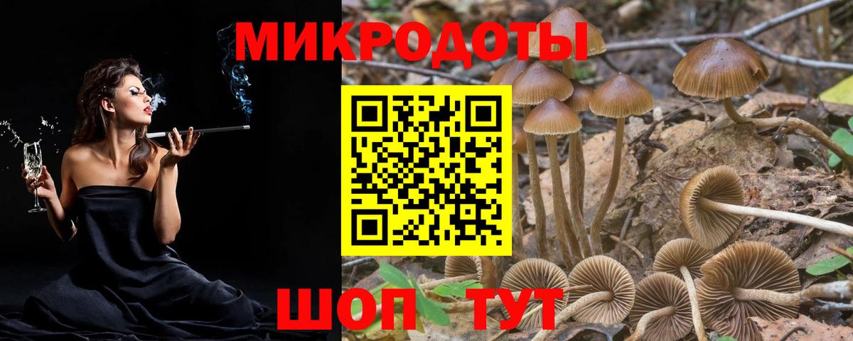 Галлюциногенные грибы мицелий Серпухов